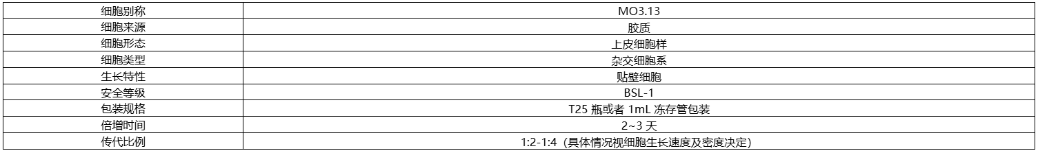 1769159368.png 图片.png